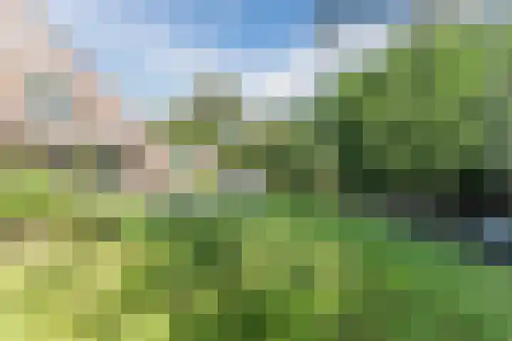 Annokkeelaan 16 Bergen (NH) thumbnail 39