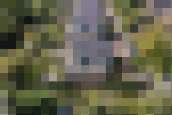 Annokkeelaan 16 Bergen (NH) thumbnail 4