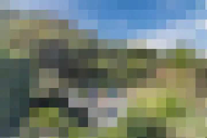 Annokkeelaan 16 Bergen (NH) thumbnail 42