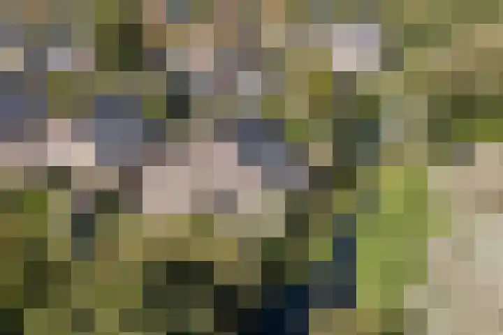 Annokkeelaan 16 Bergen (NH) thumbnail 43