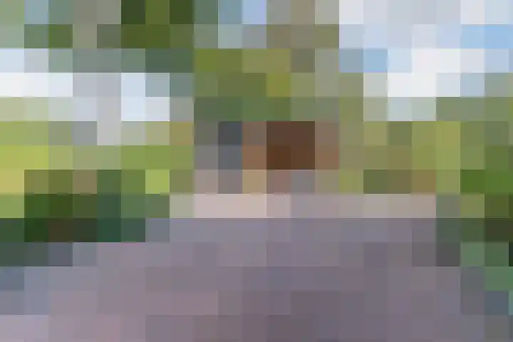 Annokkeelaan 16 Bergen (NH) thumbnail 45