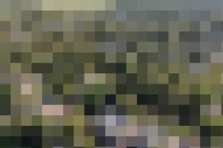 Annokkeelaan 16 Bergen (NH) thumbnail 48