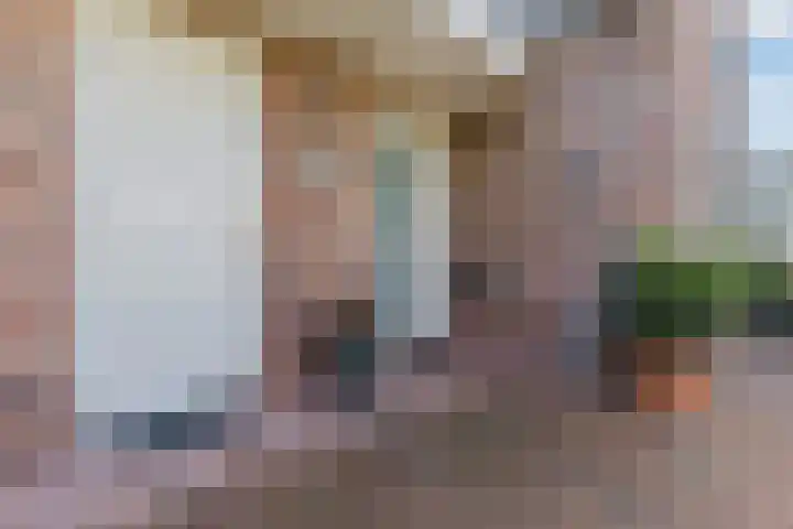 Annokkeelaan 16 Bergen (NH) thumbnail 6