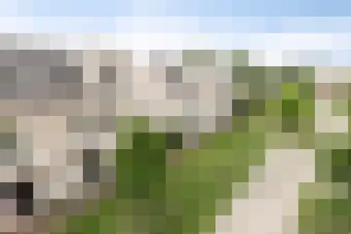 Anodehof 23 Eindhoven thumbnail 30