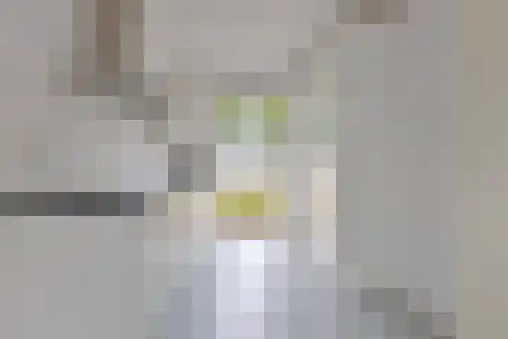 Anodehof 23 Eindhoven thumbnail 8