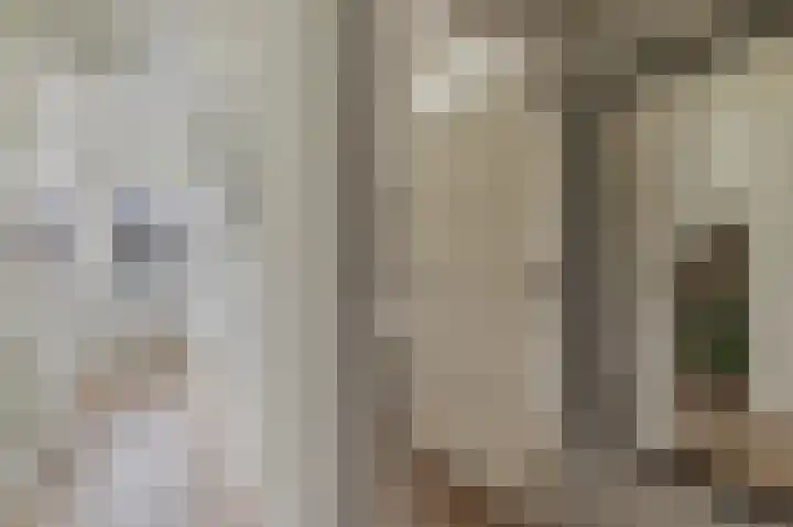 Anreperstraat 134 Assen thumbnail 27
