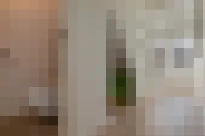 Anreperstraat 134 Assen thumbnail 33