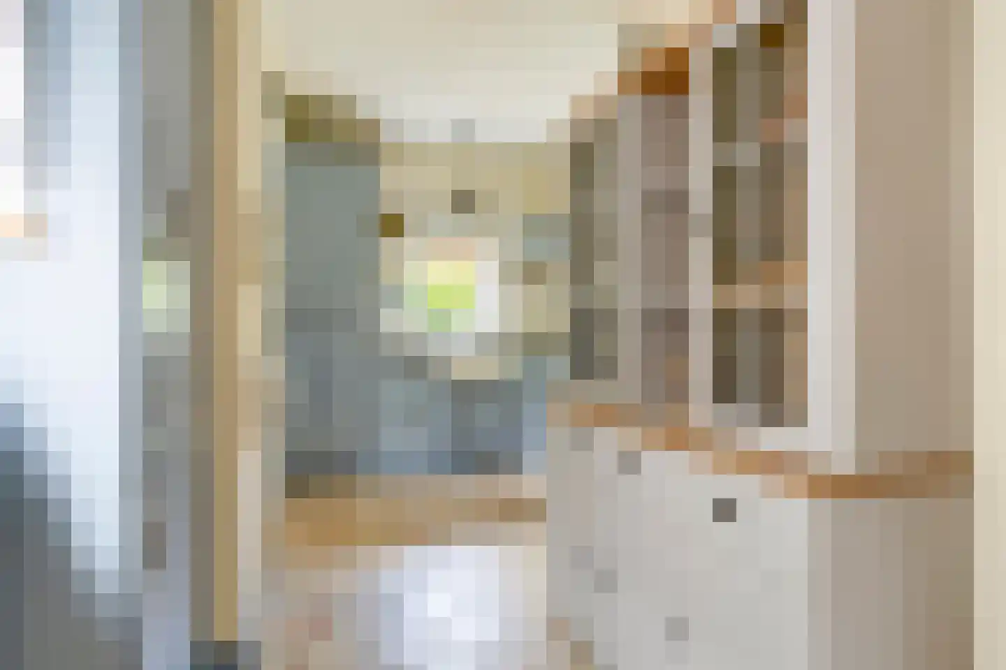 Anreperstraat 159 Assen thumbnail 14