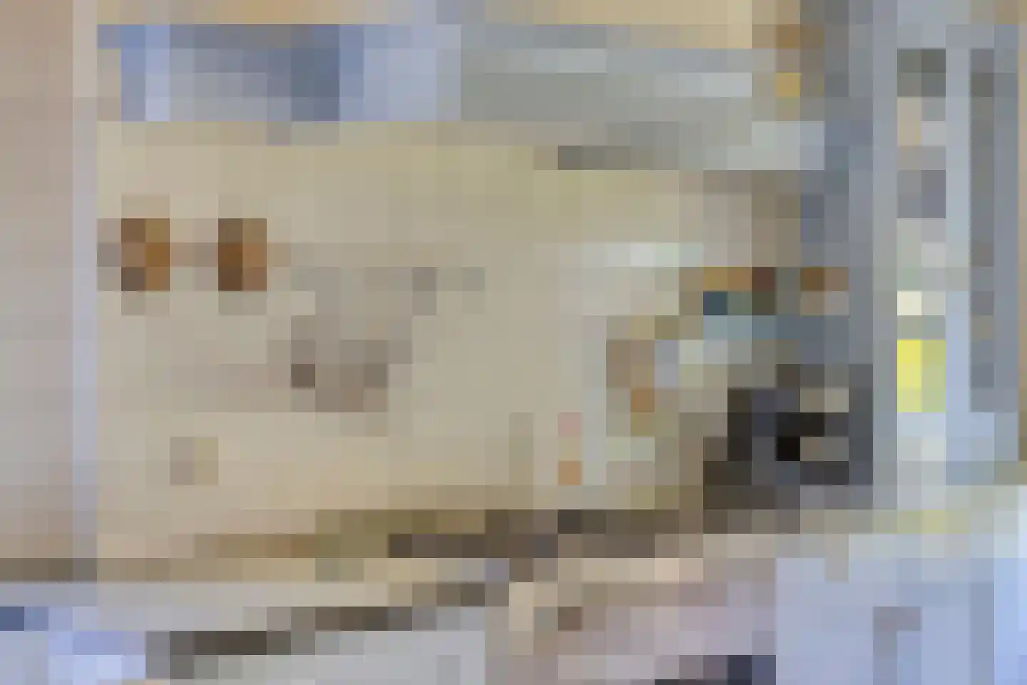 Anreperstraat 159 Assen thumbnail 15