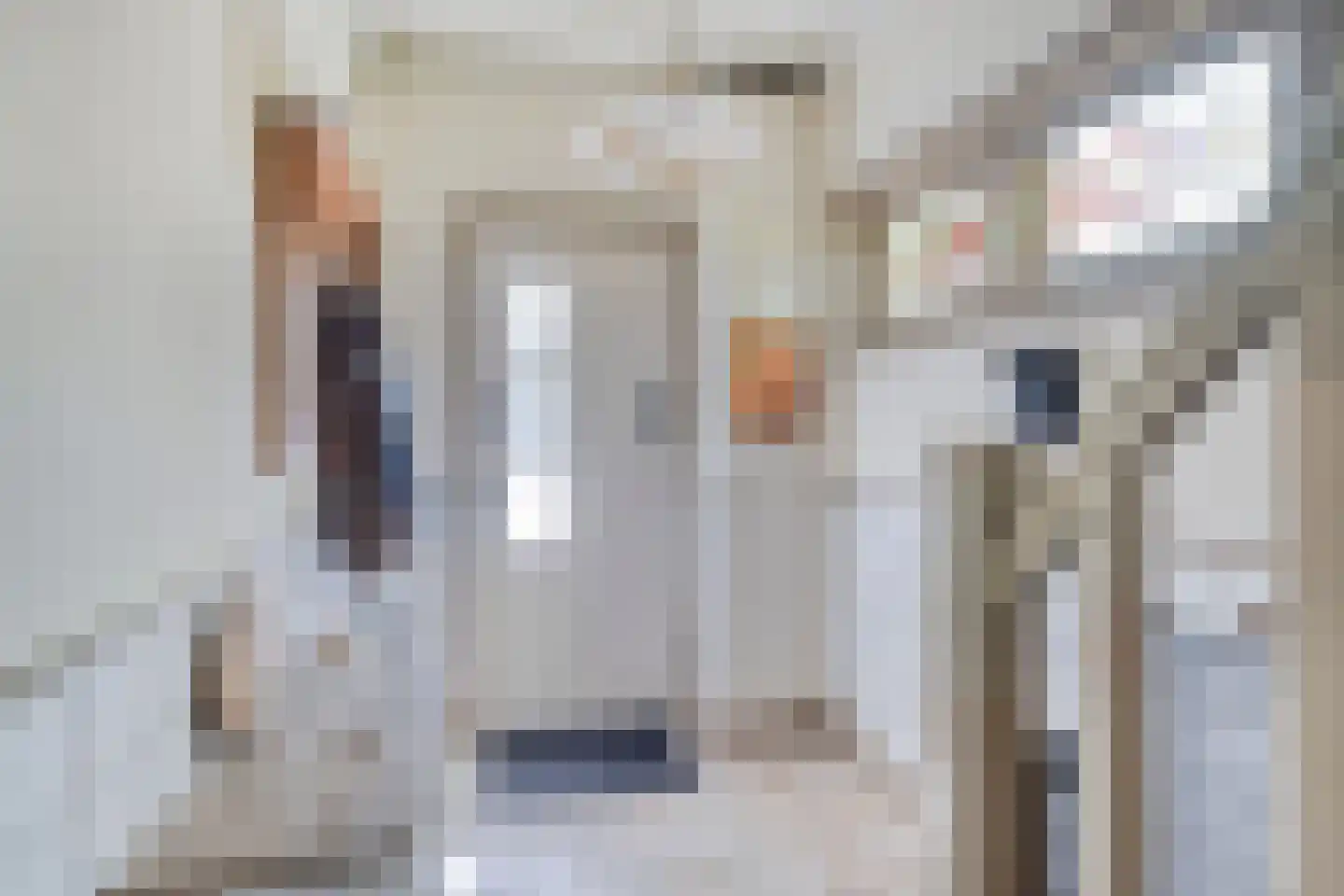 Anreperstraat 159 Assen thumbnail 20