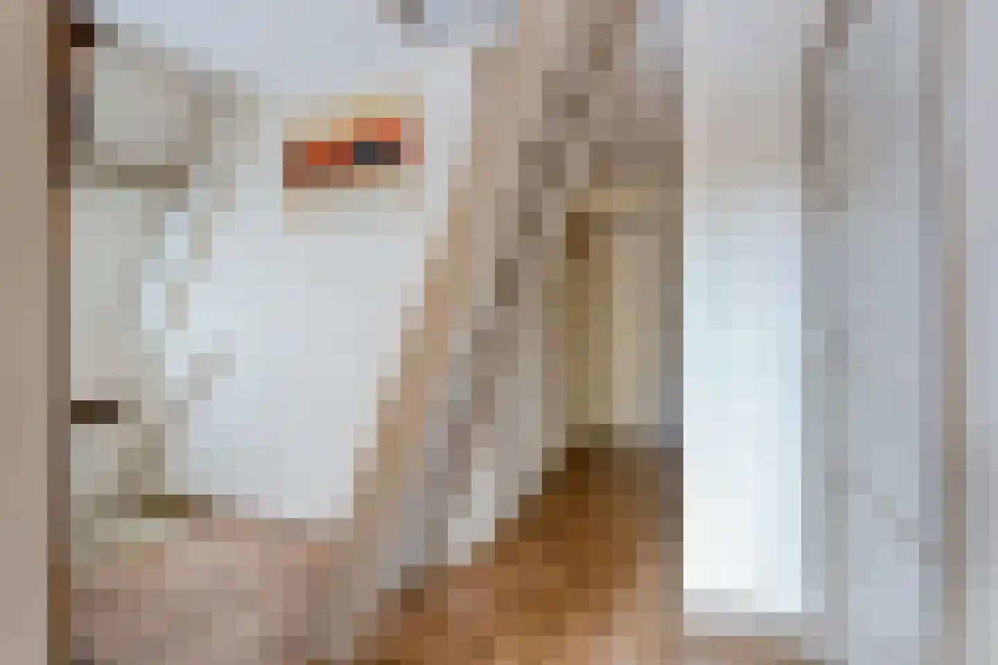 Anreperstraat 159 Assen thumbnail 22