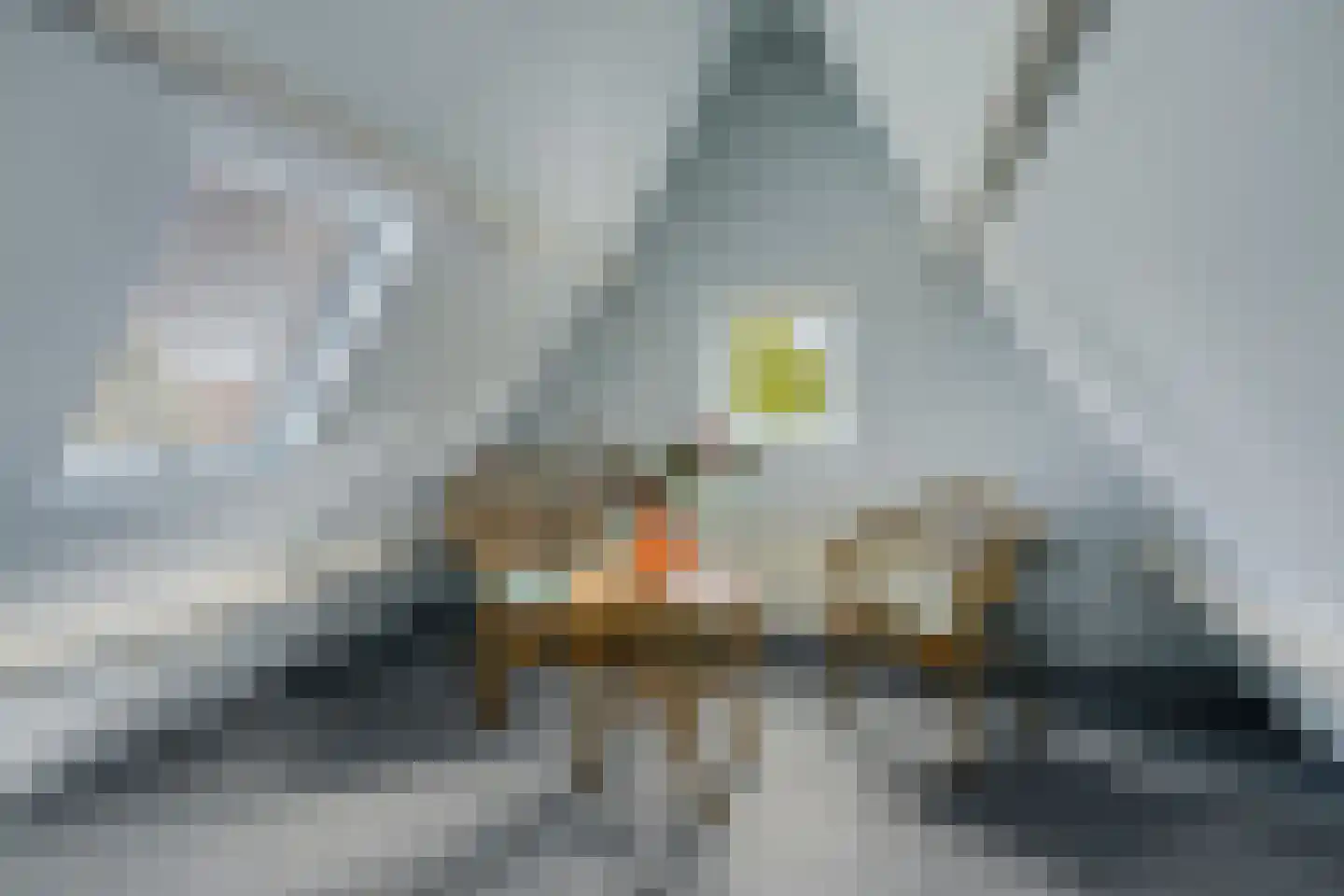 Anreperstraat 159 Assen thumbnail 34