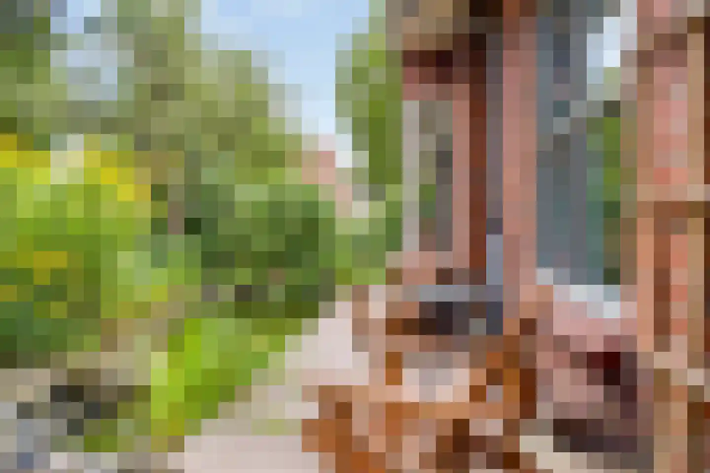Anreperstraat 159 Assen thumbnail 36