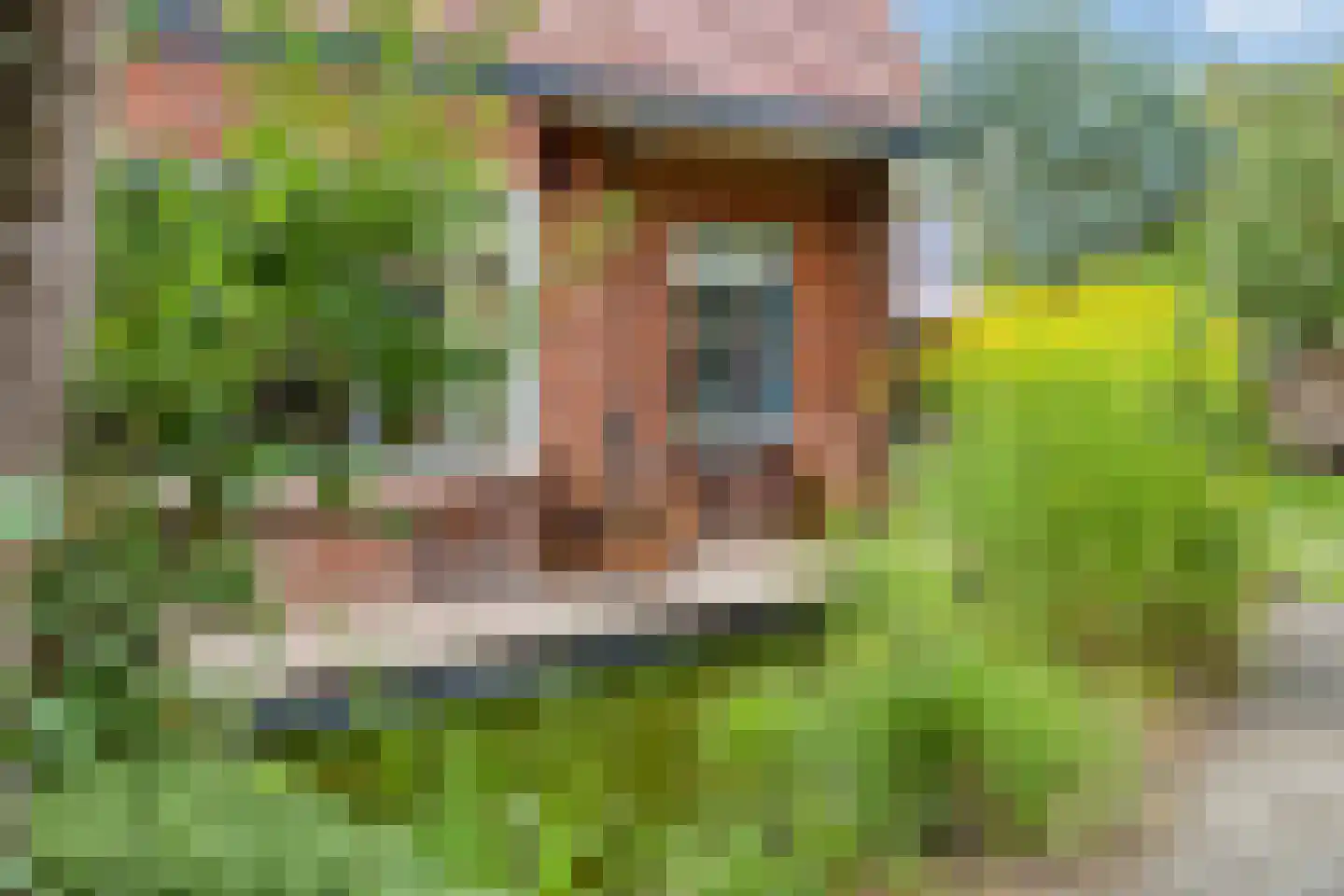 Anreperstraat 159 Assen thumbnail 37