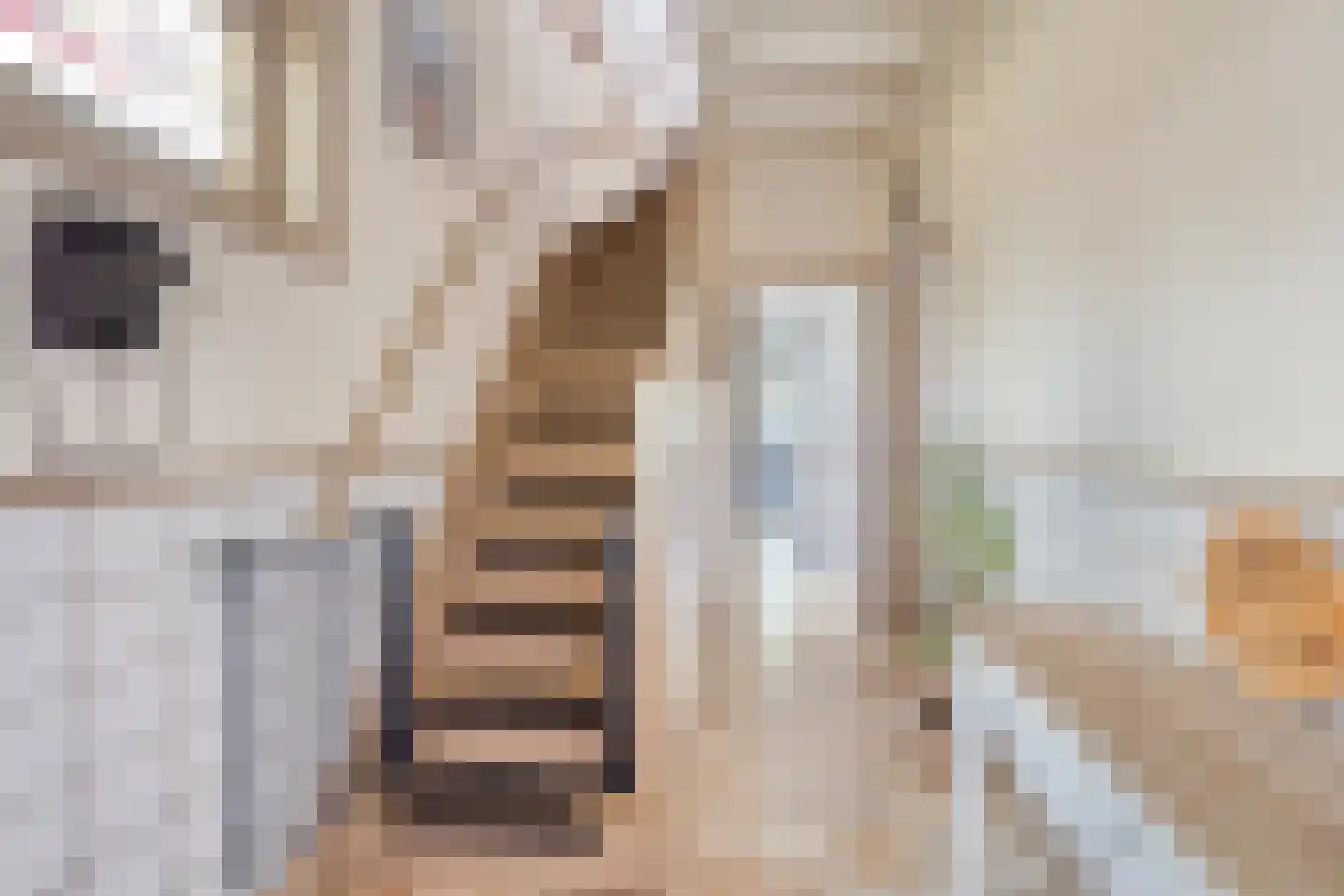 Anreperstraat 159 Assen thumbnail 4