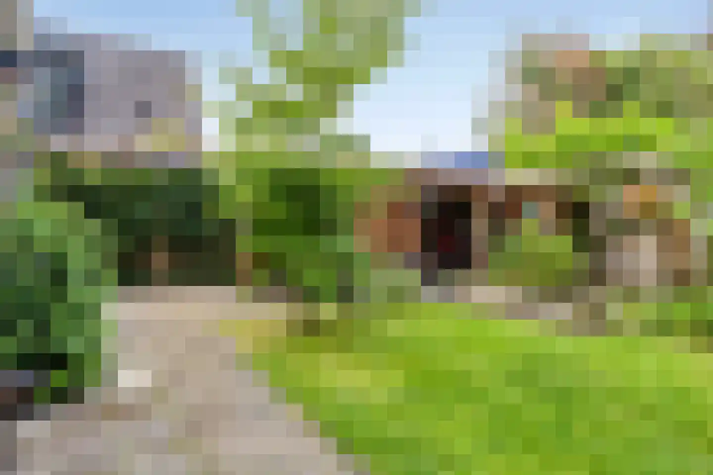 Anreperstraat 159 Assen thumbnail 40
