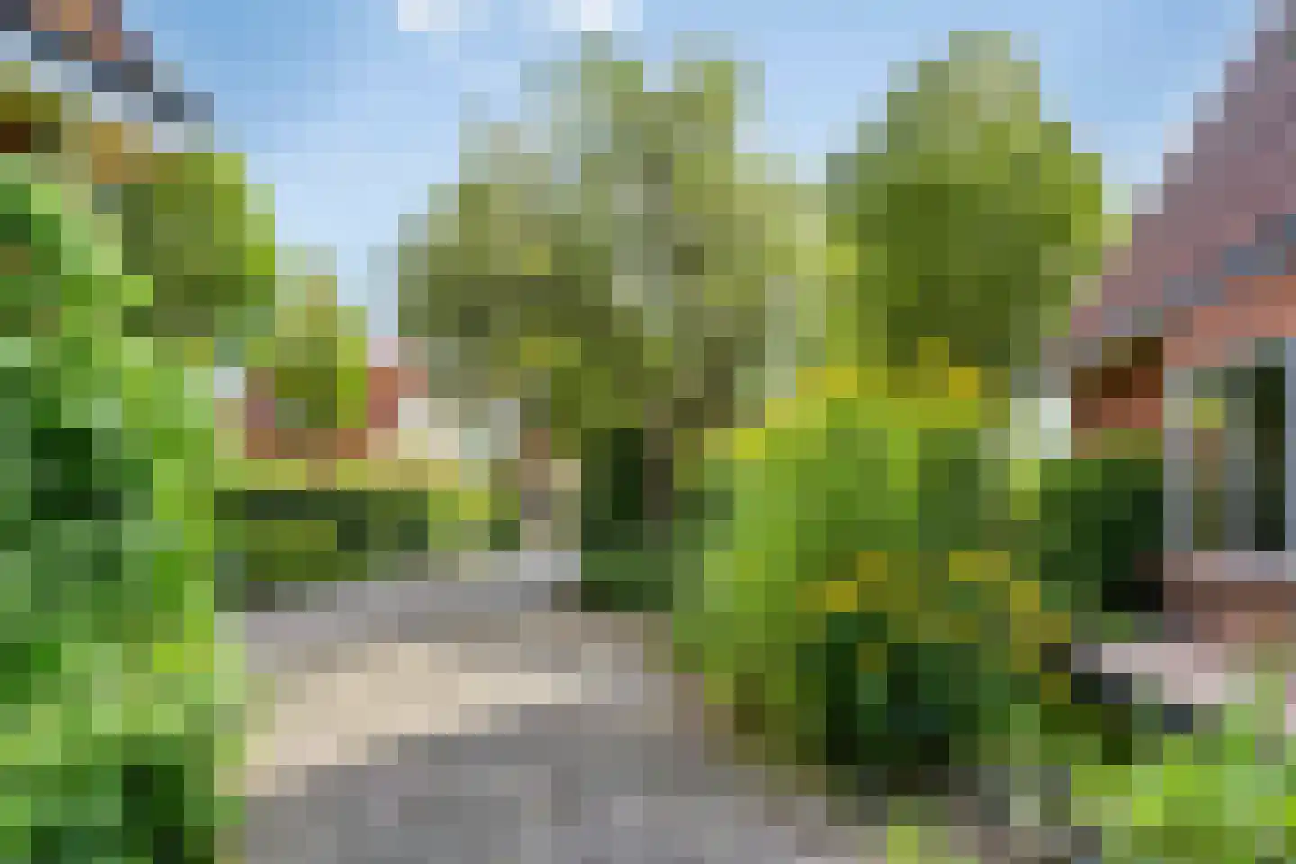 Anreperstraat 159 Assen thumbnail 42