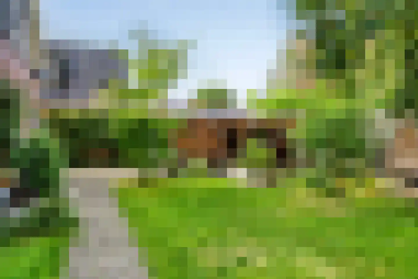 Anreperstraat 159 Assen thumbnail 43