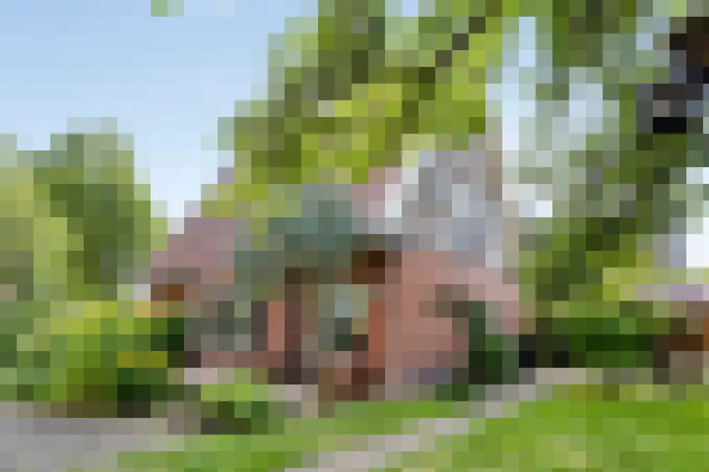 Anreperstraat 159 Assen thumbnail 44