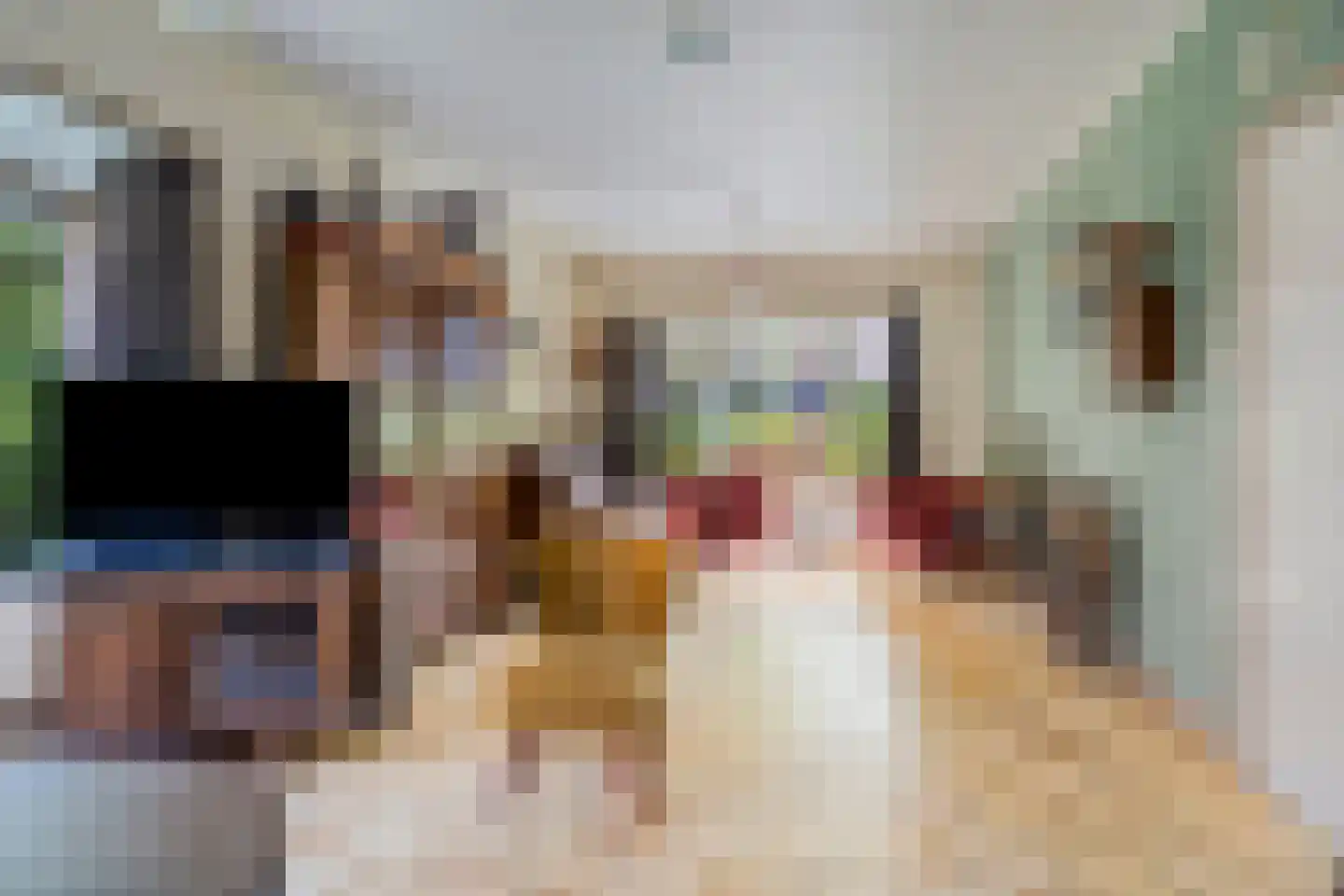 Anreperstraat 159 Assen thumbnail 8