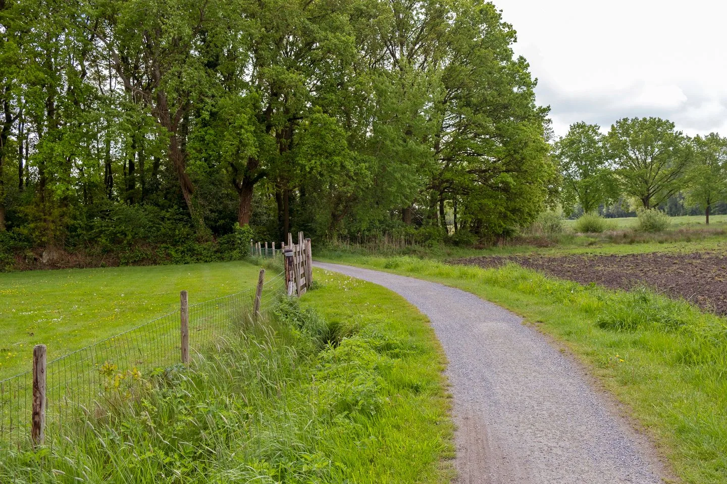 Anreperstraat 194 A Assen thumbnail 46