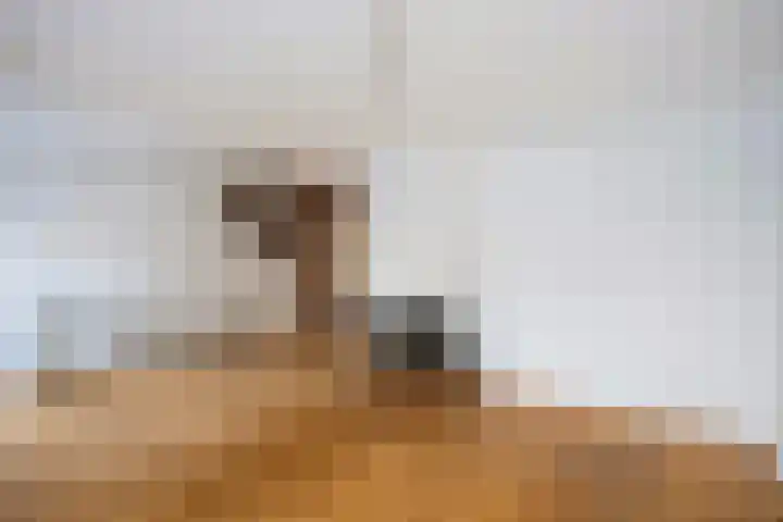 Anrijperdiep 38 Zwolle thumbnail 11