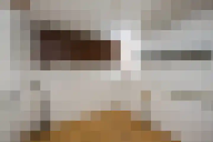 Anrijperdiep 38 Zwolle thumbnail 28