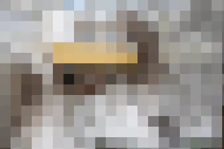 Anrijperdiep 38 Zwolle thumbnail 29