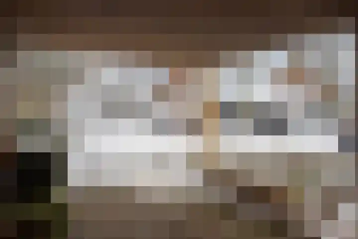Anrijperdiep 38 Zwolle thumbnail 4