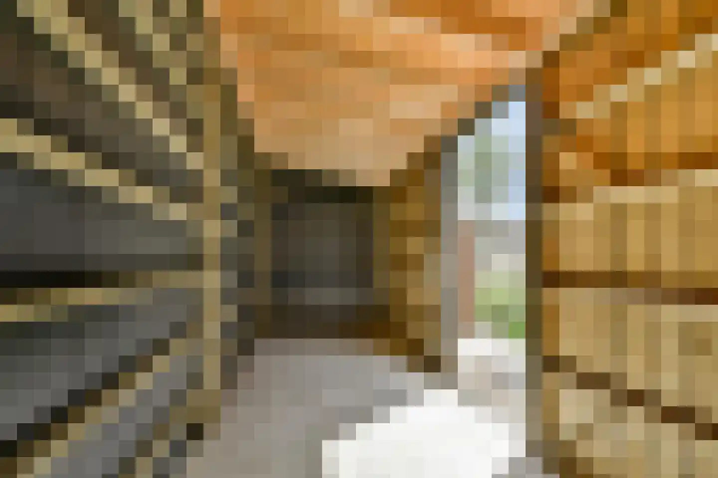Ans Luyendijkstraat 69 Rotterdam thumbnail 42