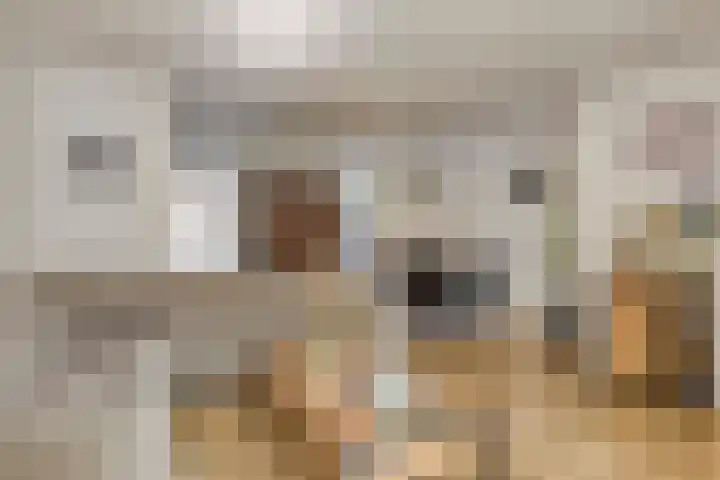 Ans van den Berglaan 20 Enschede thumbnail 10
