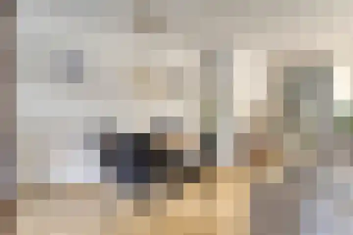 Ans van den Berglaan 20 Enschede thumbnail 11