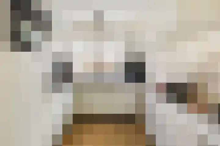 Ans van den Berglaan 20 Enschede thumbnail 12