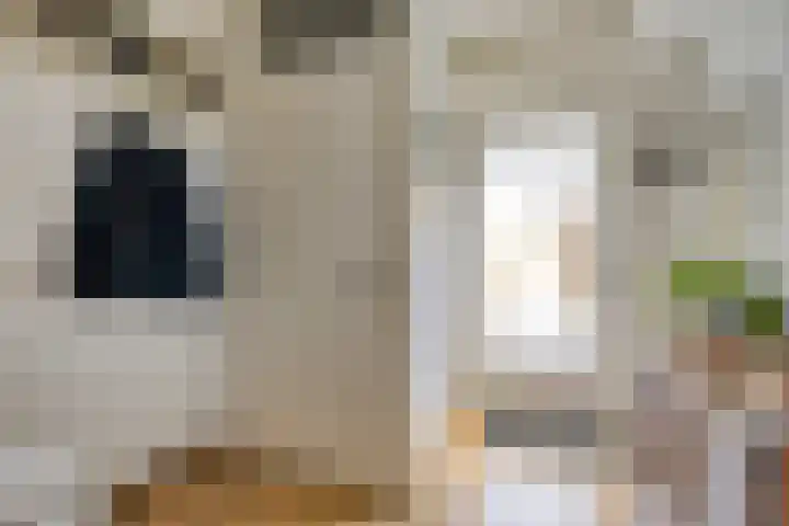 Ans van den Berglaan 20 Enschede thumbnail 15