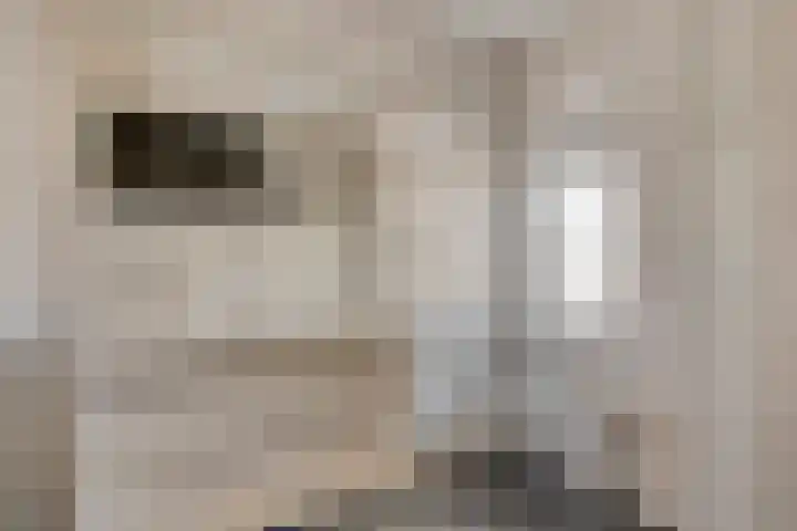 Ans van den Berglaan 20 Enschede thumbnail 21