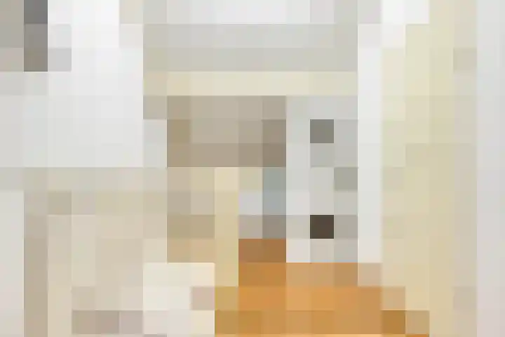 Ans van den Berglaan 20 Enschede thumbnail 25