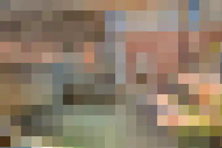 Ans van den Berglaan 20 Enschede thumbnail 28