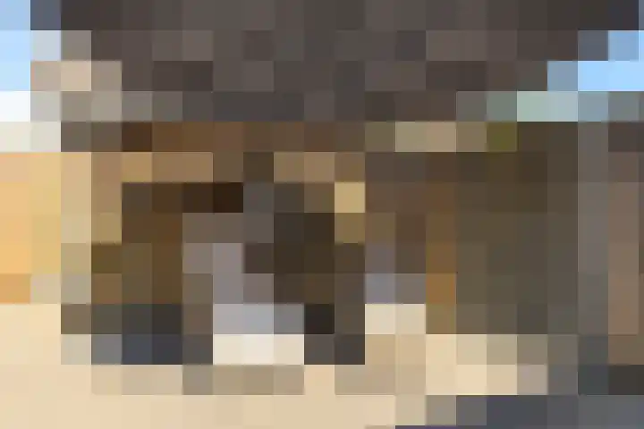 Ans van den Berglaan 20 Enschede thumbnail 31