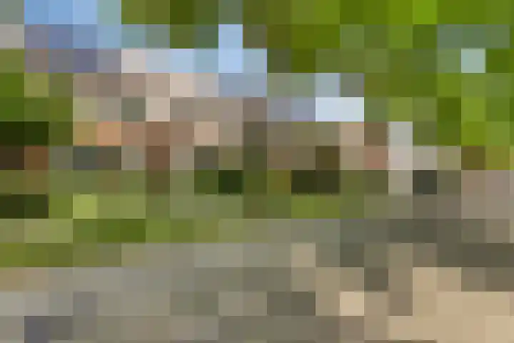 Ans van den Berglaan 20 Enschede thumbnail 32