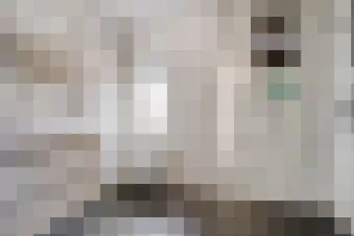 Ans van den Berglaan 20 Enschede thumbnail 4