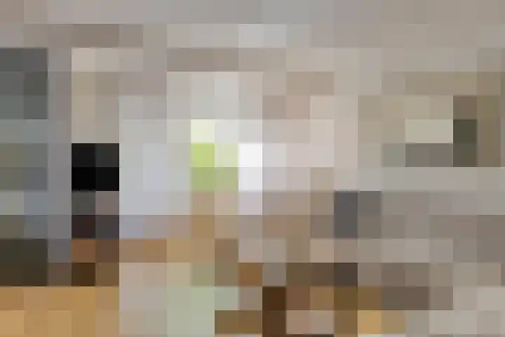Ans van den Berglaan 20 Enschede thumbnail 8