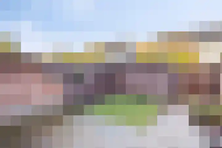 Ans van den Berglaan 4 Enschede thumbnail 22