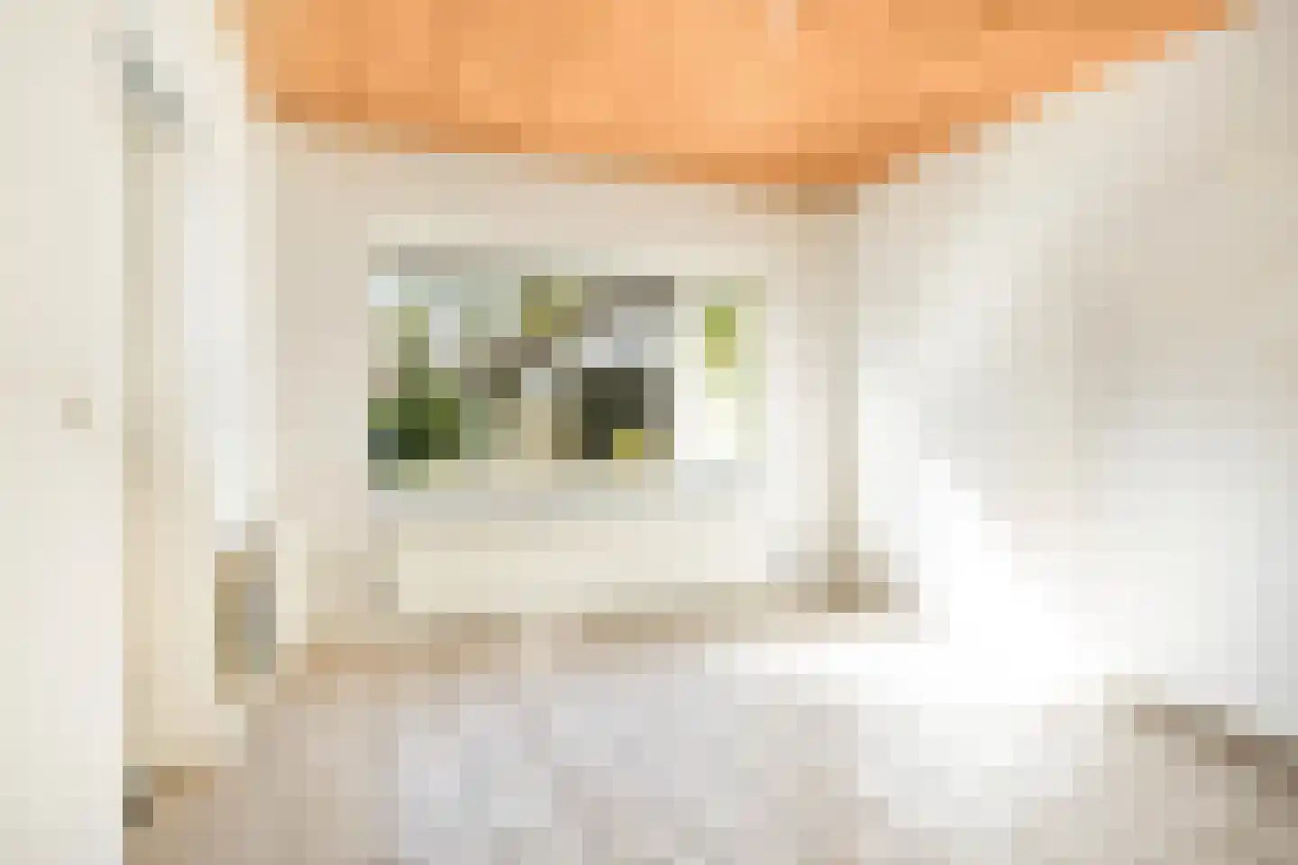 Ansbalduslaan 32 Waalre thumbnail 14