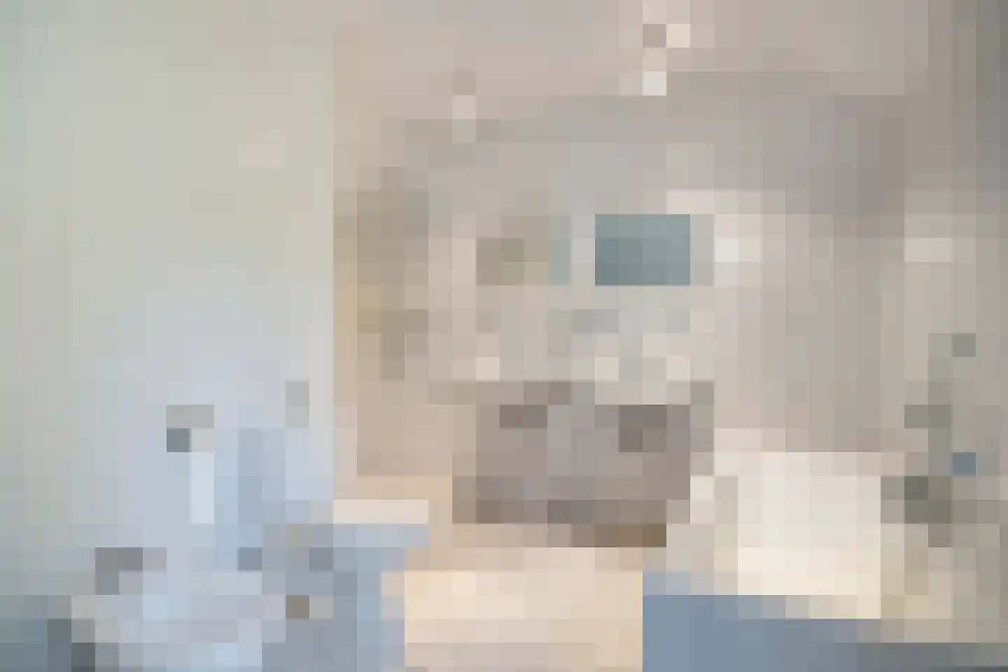 Ansbalduslaan 32 Waalre thumbnail 20