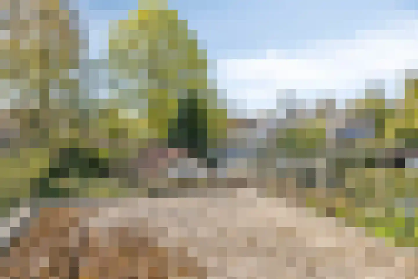 Ansbalduslaan 32 Waalre thumbnail 24