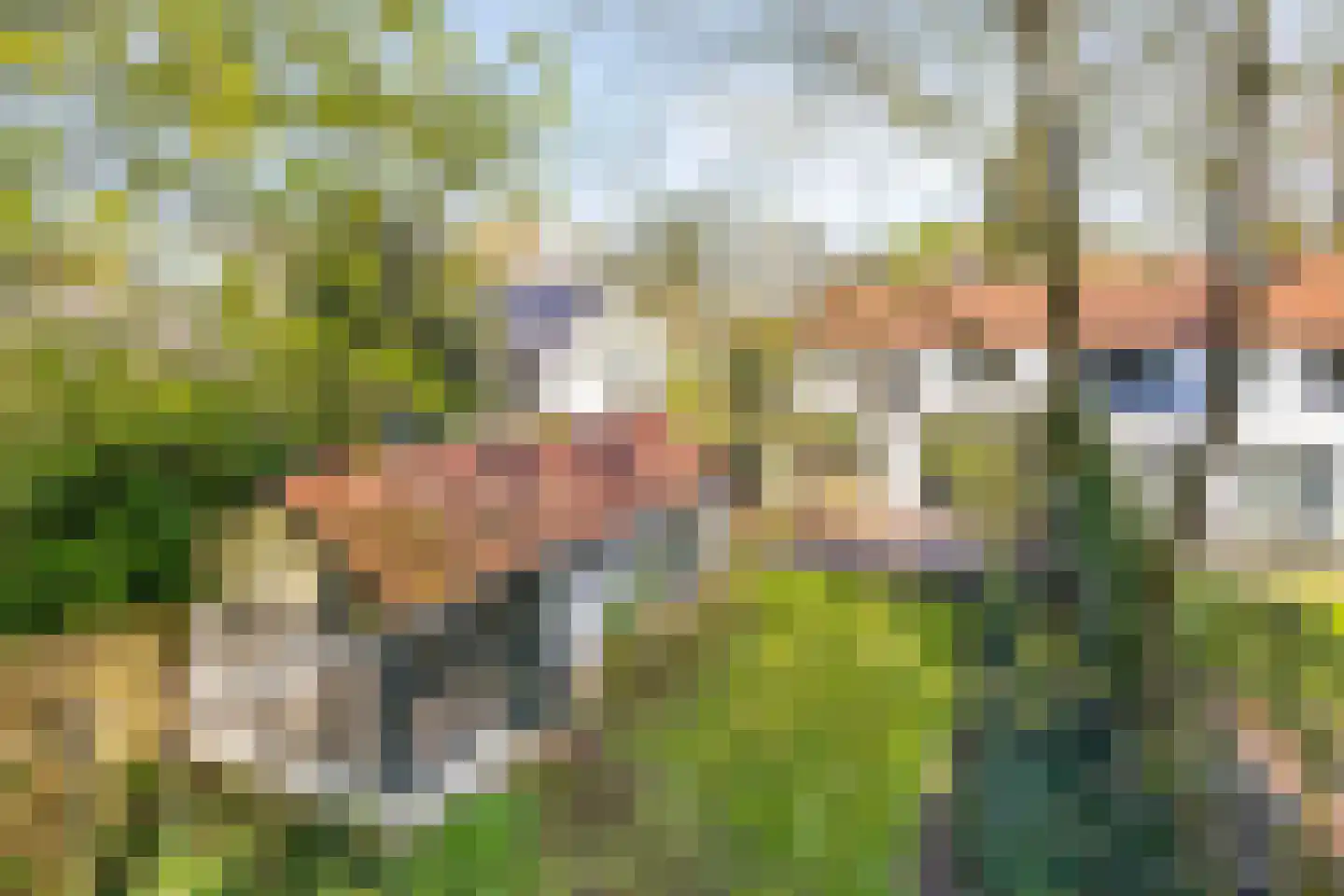 Ansbalduslaan 32 Waalre thumbnail 29