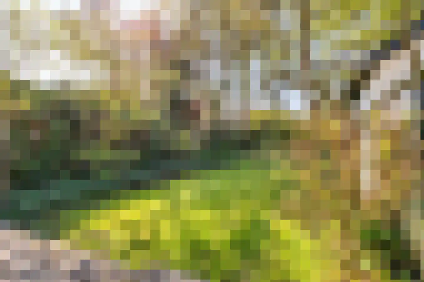 Ansbalduslaan 32 Waalre thumbnail 33