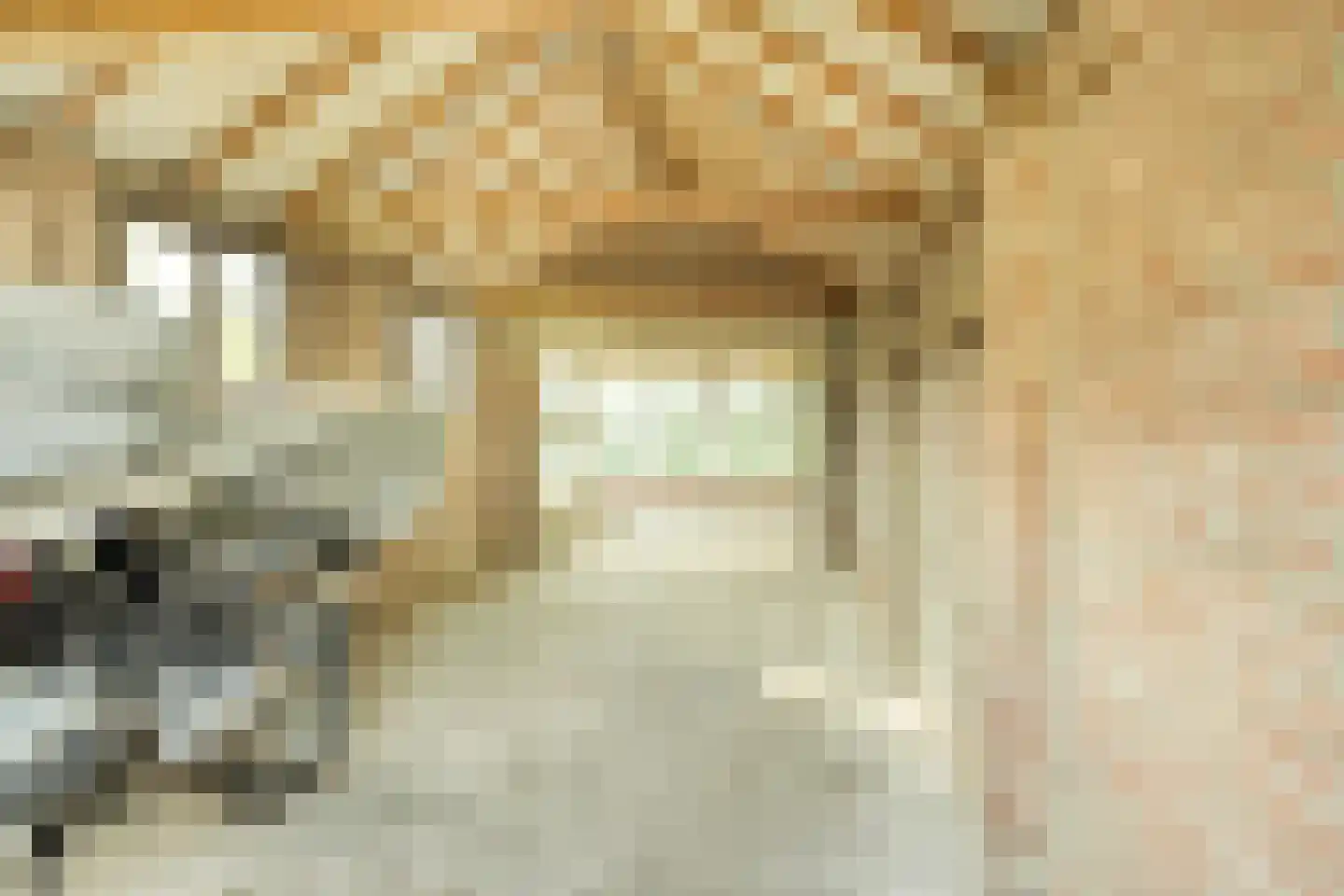 Ansbalduslaan 32 Waalre thumbnail 37