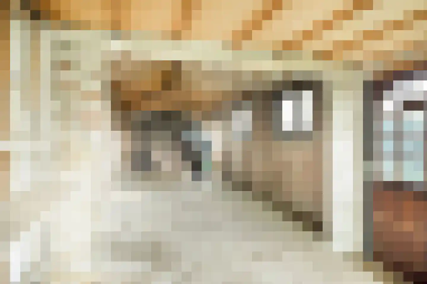 Ansbalduslaan 32 Waalre thumbnail 38