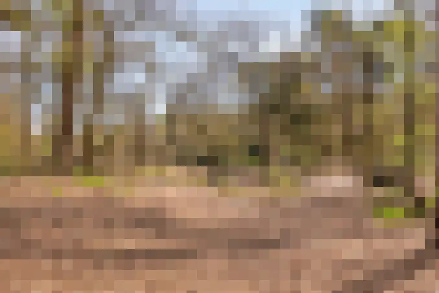 Ansbalduslaan 32 Waalre thumbnail 41